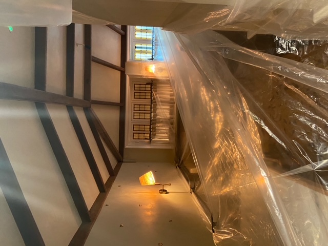 London Beetle Treatment